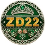 zd222 game